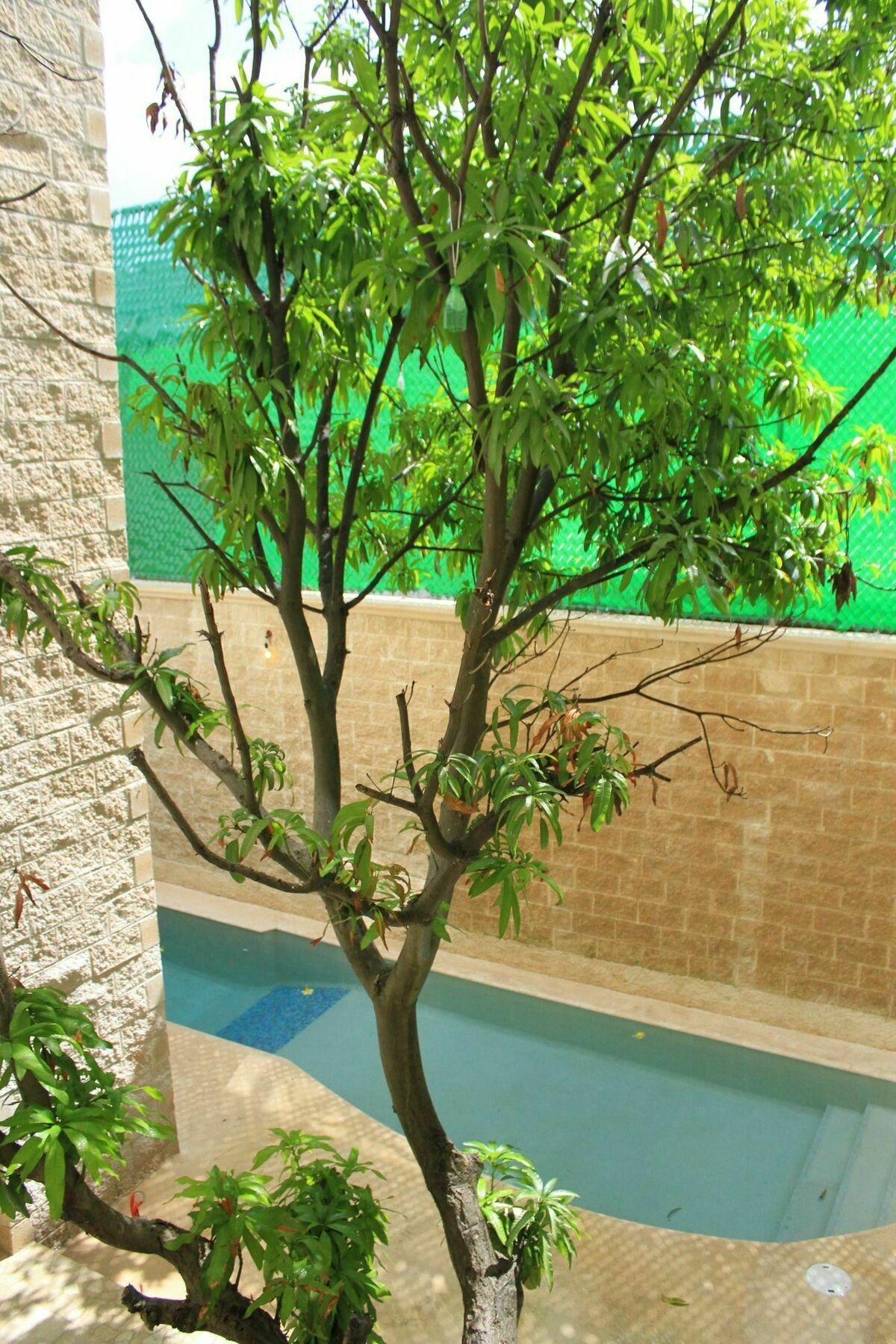 Angelo'S Hotel Playa del Carmen Zewnętrze zdjęcie