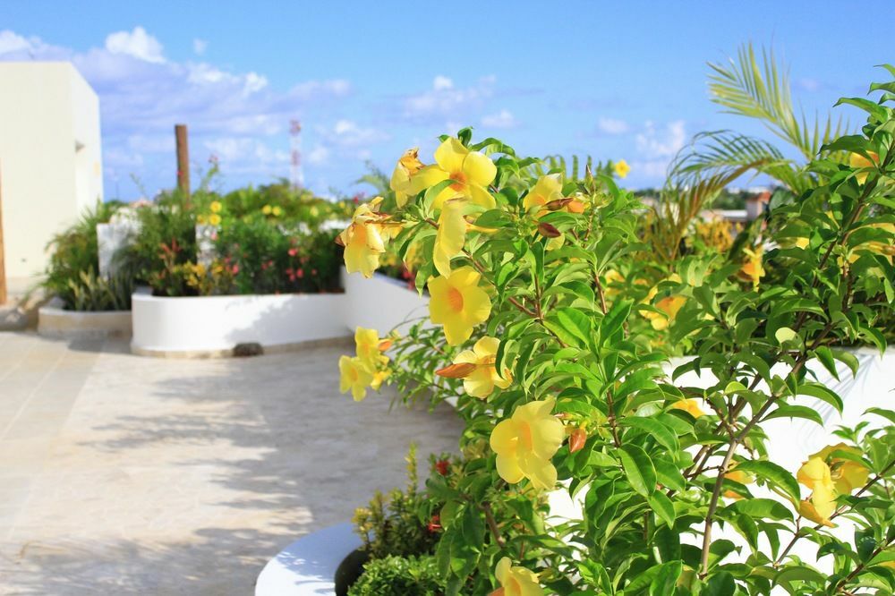Angelo'S Hotel Playa del Carmen Zewnętrze zdjęcie
